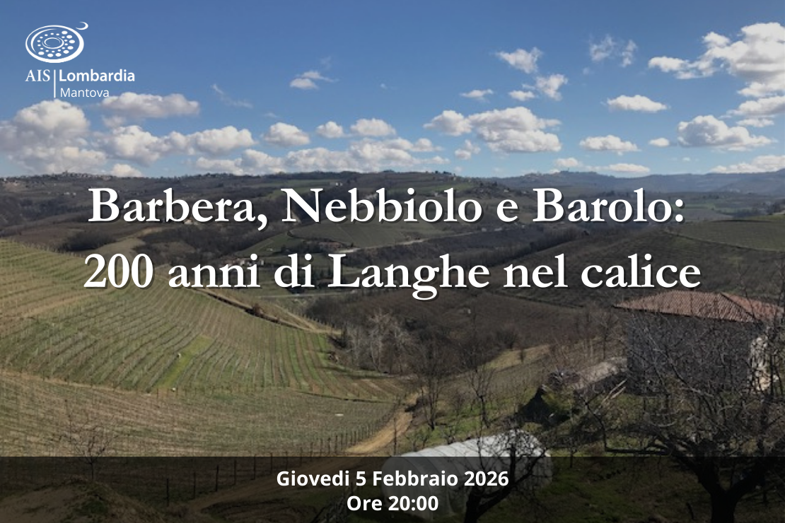 Barbera, Nebbiolo e Barolo: 200 anni di Langhe nel calice