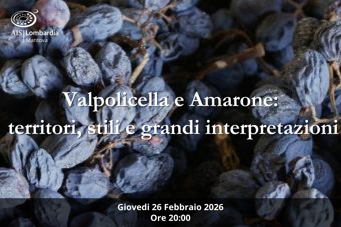Valpolicella e Amarone: territori, stili e grandi interpretazioni