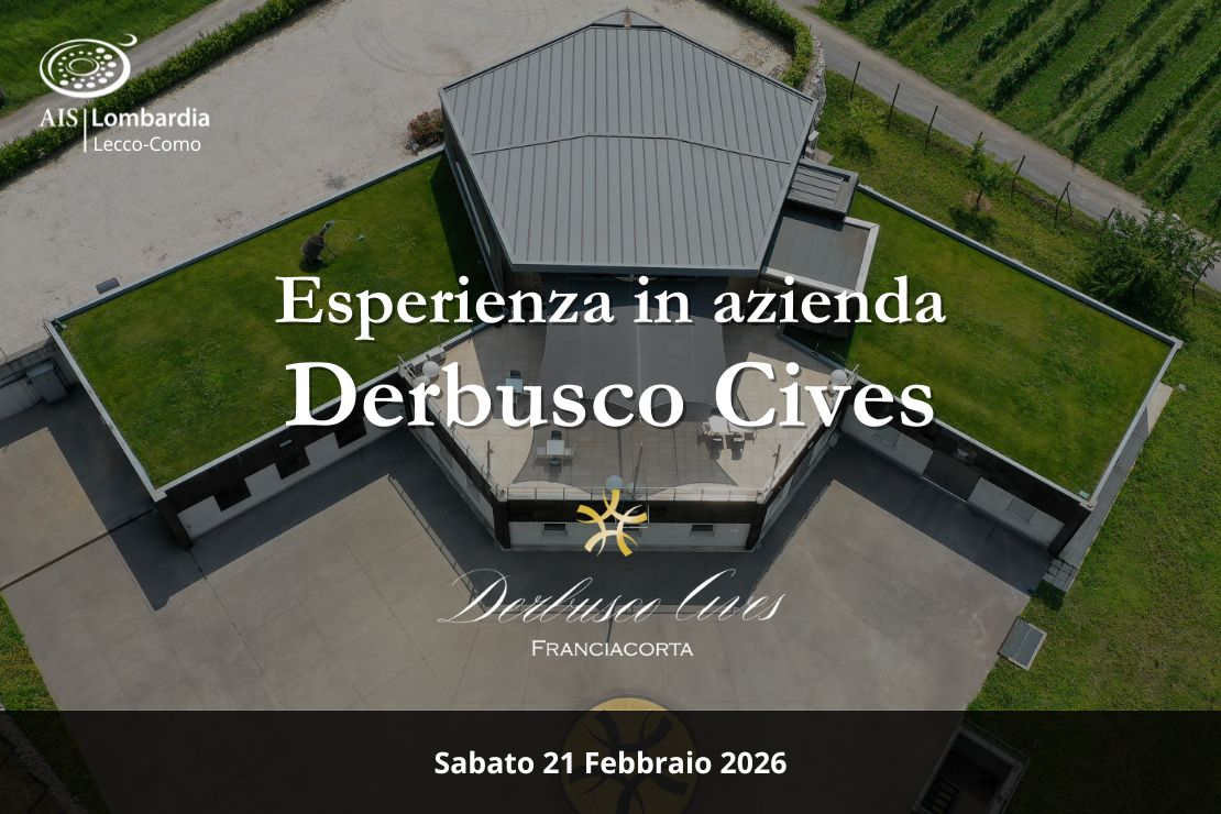 Esperienza in azienda: Derbusco Cives