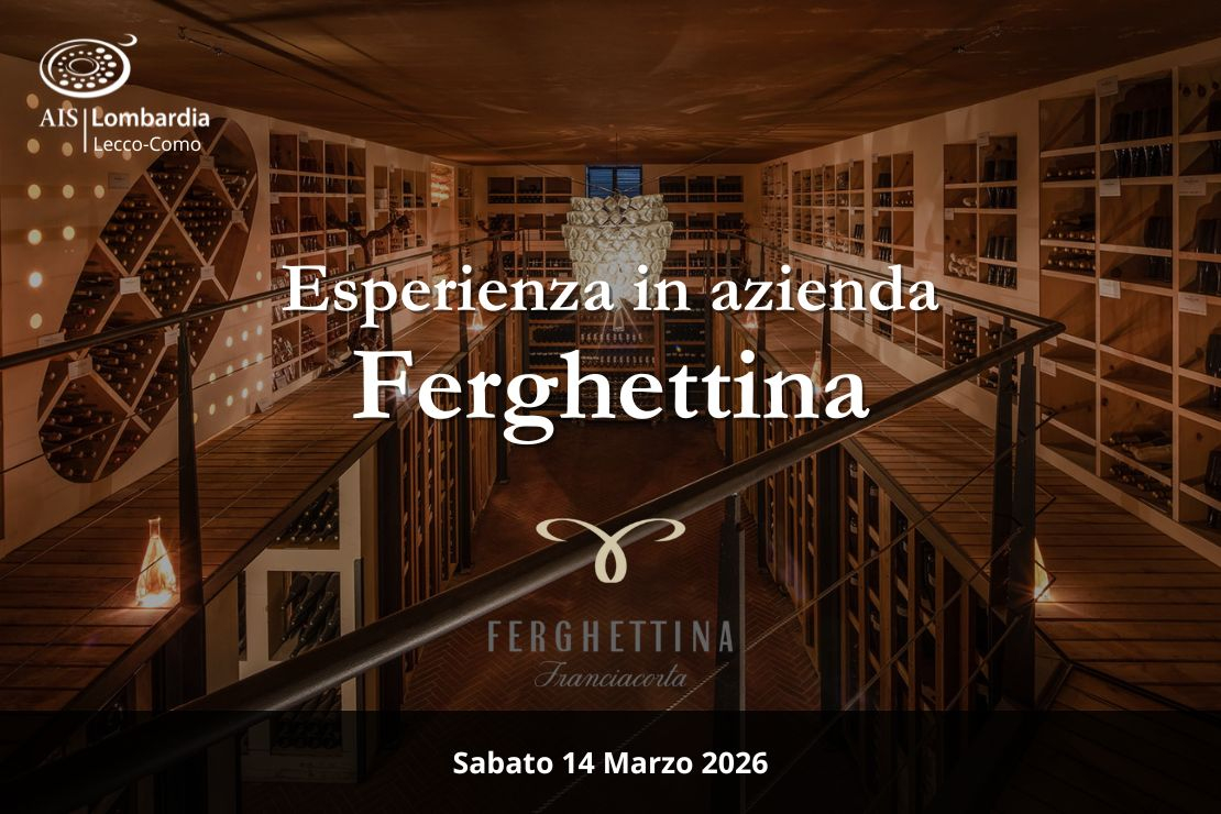 Esperienza in azienda: Ferghettina