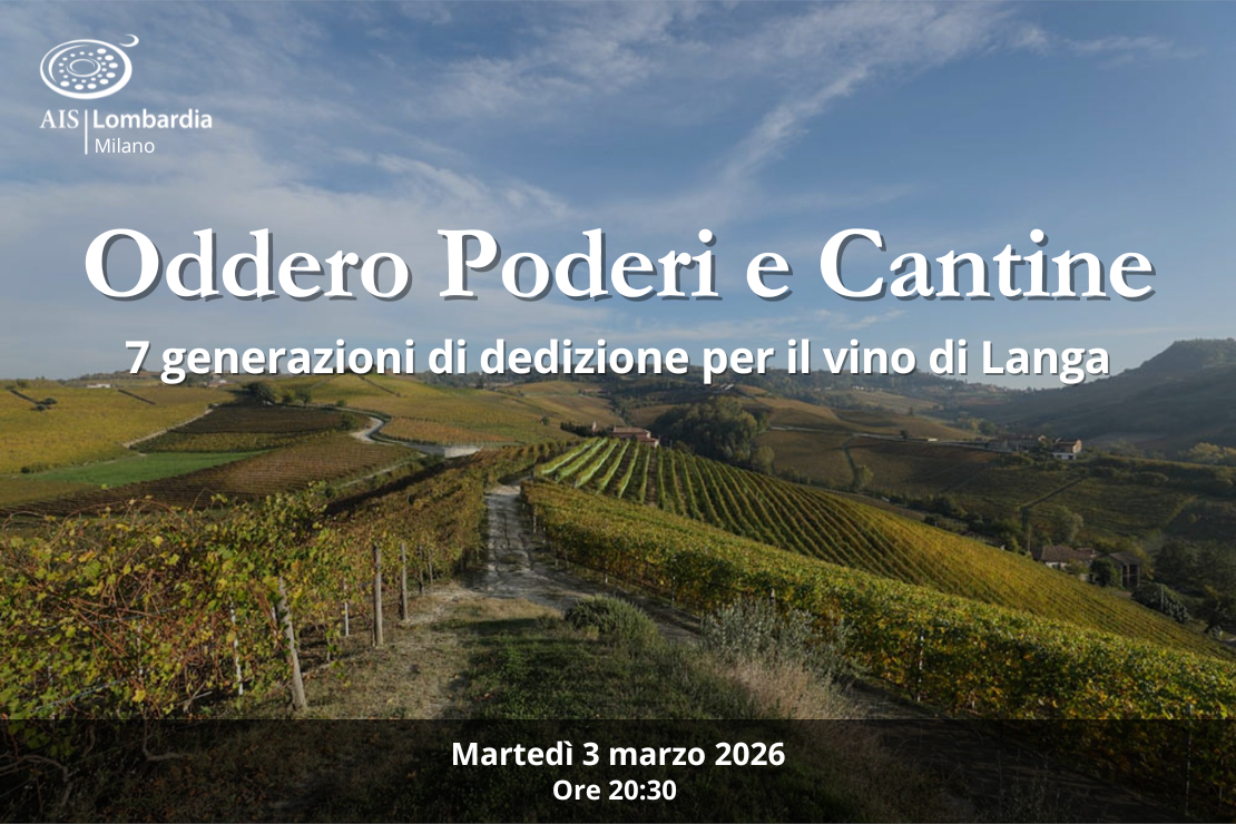 Oddero Poderi e Cantine: 7 generazioni di dedizione per il vino di Langa