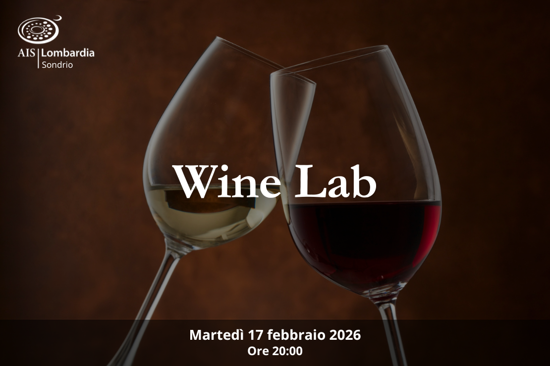 Wine Lab