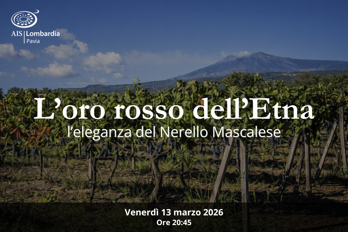 L&rsquo;oro rosso dell&rsquo;Etna: l&rsquo;eleganza del Nerello Mascalese