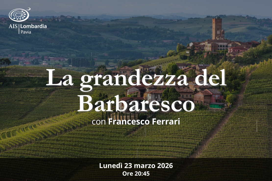 La grandezza del Barbaresco