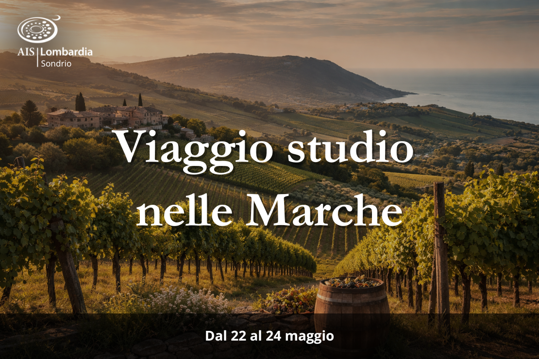 Viaggio studio nelle Marche