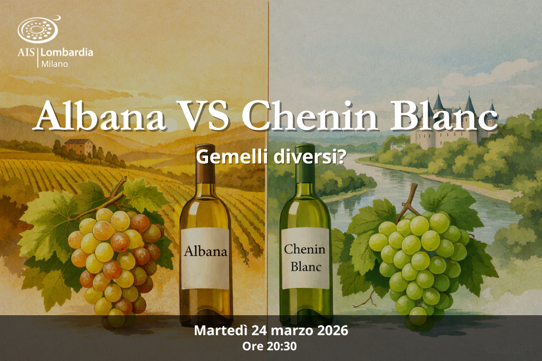 Albana vs. Chenin Blanc: gemelli diversi?