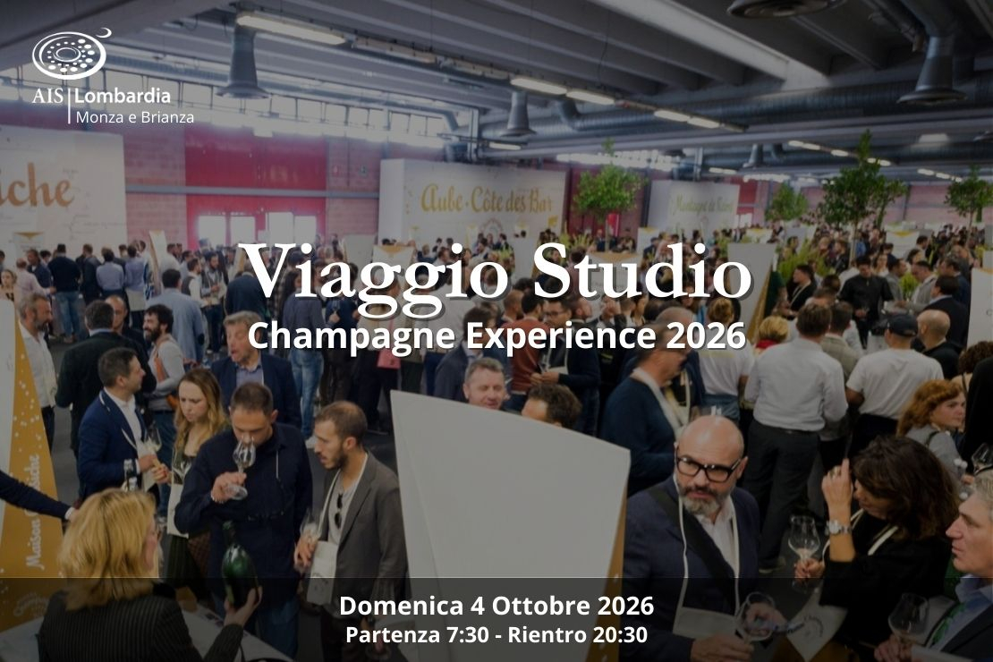 Viaggio Studio - Champagne Experience 2026