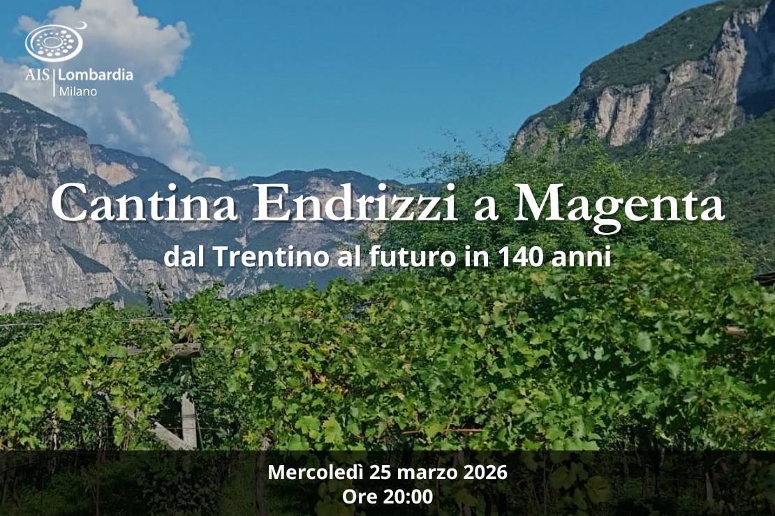 Cantina Endrizzi a Magenta