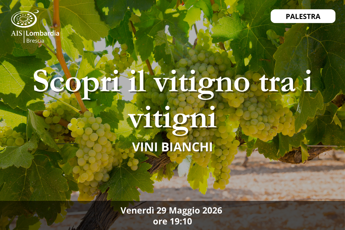 Palestra - Scopri il vitigno tra i vitigni, bianchi