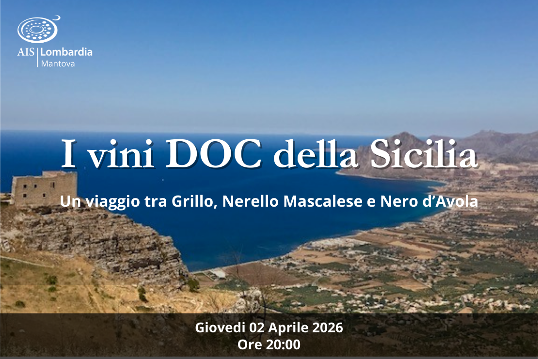 I vini DOC della Sicilia