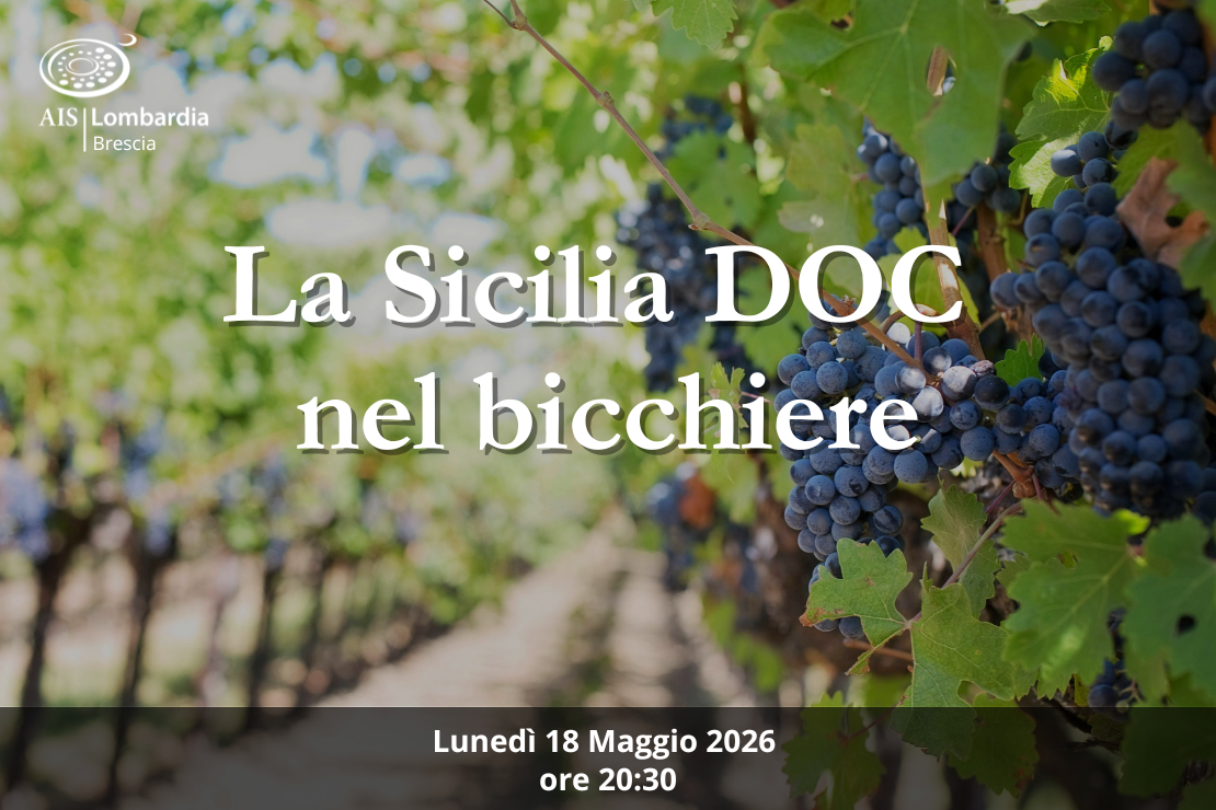 Azienda - La Sicilia D.O.C. nel bicchiere