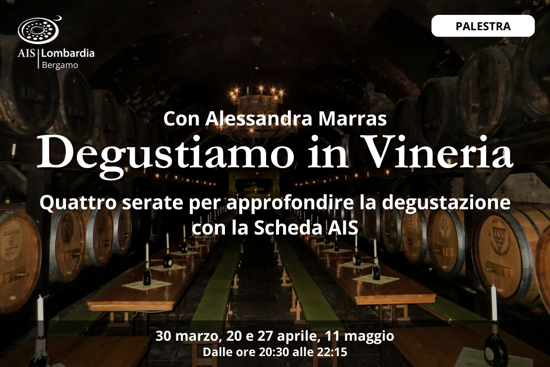 Degustiamo in Vineria. A Bergamo quattro palestre tecniche con Alessandra Marras