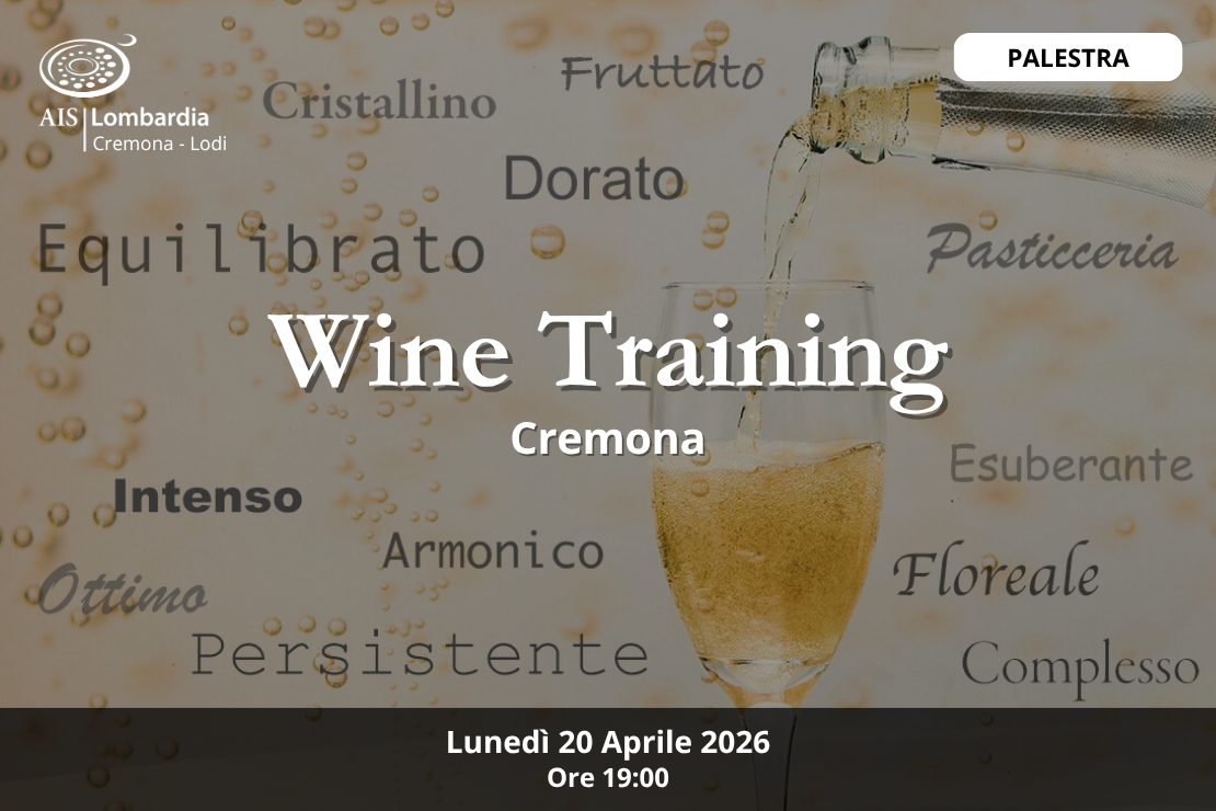 Wine Training | Cremona