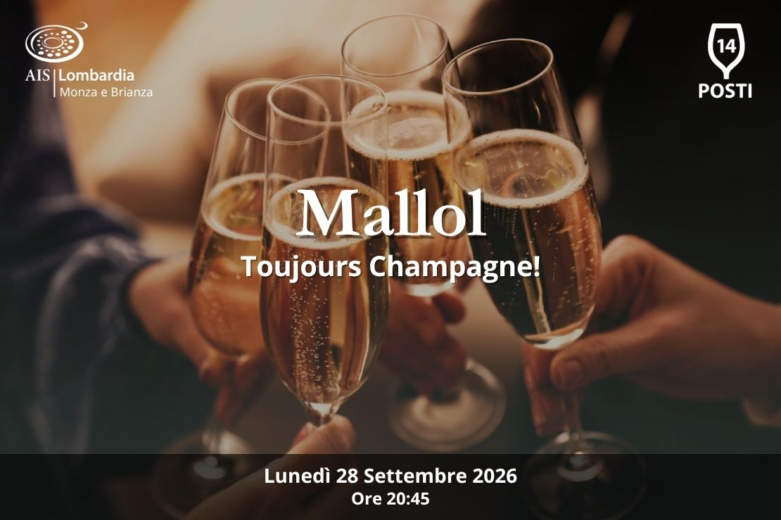 Toujours Champagne! Mallol