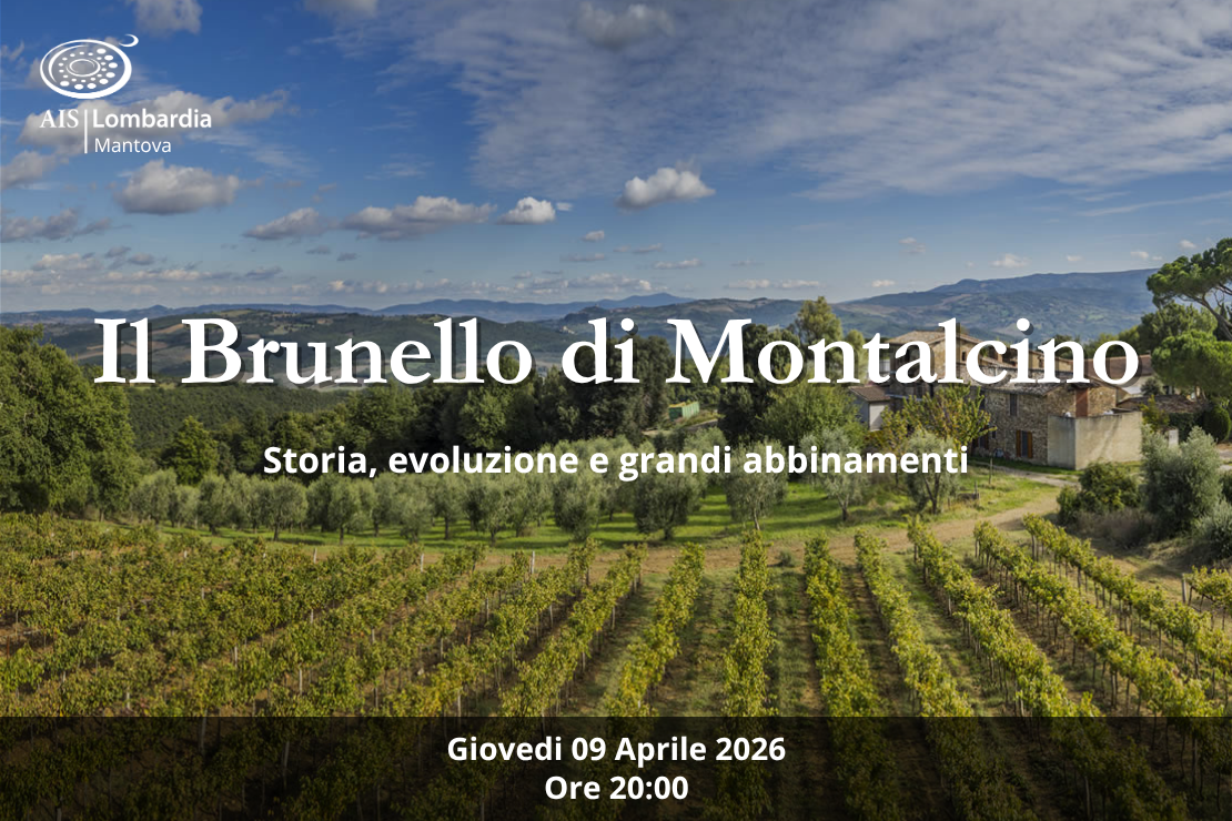 Il Brunello di Montalcino: storia, evoluzione e grandi abbinamenti