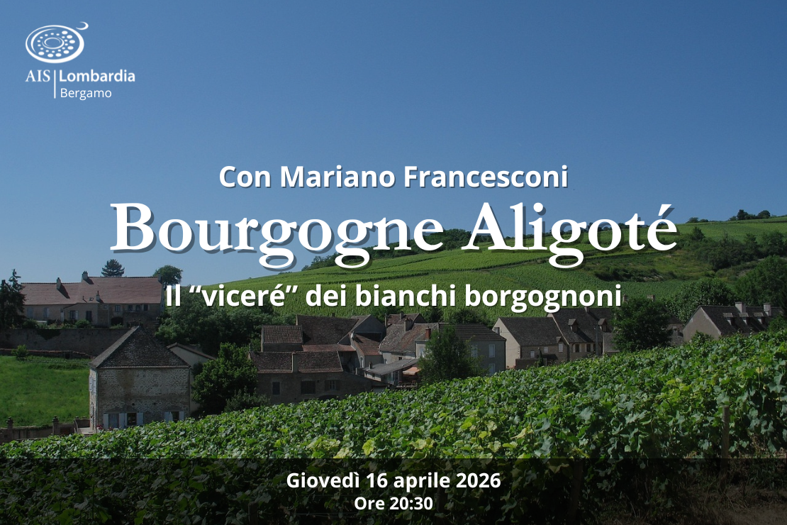 Bourgogne Aligot&eacute;, il &ldquo;vicer&eacute;&rdquo; dei bianchi borgognoni
