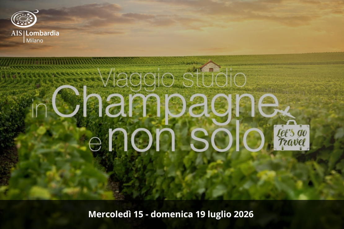 Viaggio studio in Champagne e non solo
