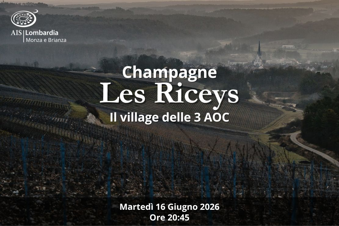 Champagne Les Riceys. Il village delle 3 AOC