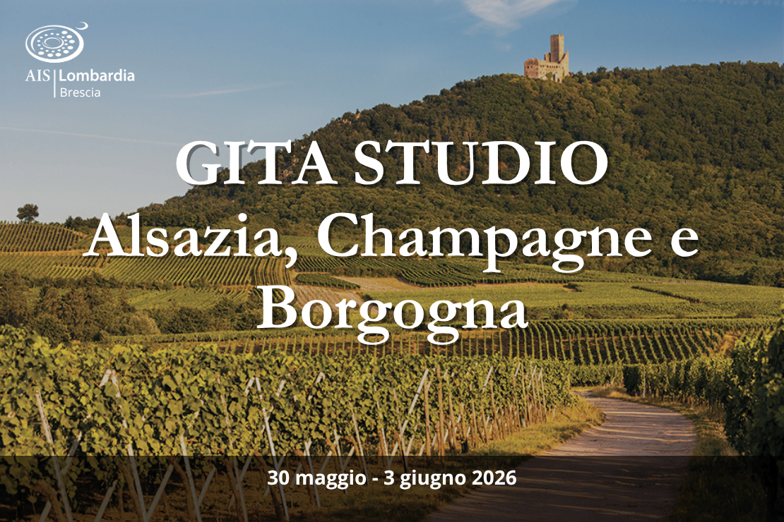 Gita studio Alsazia, Champagne e Borgogna
