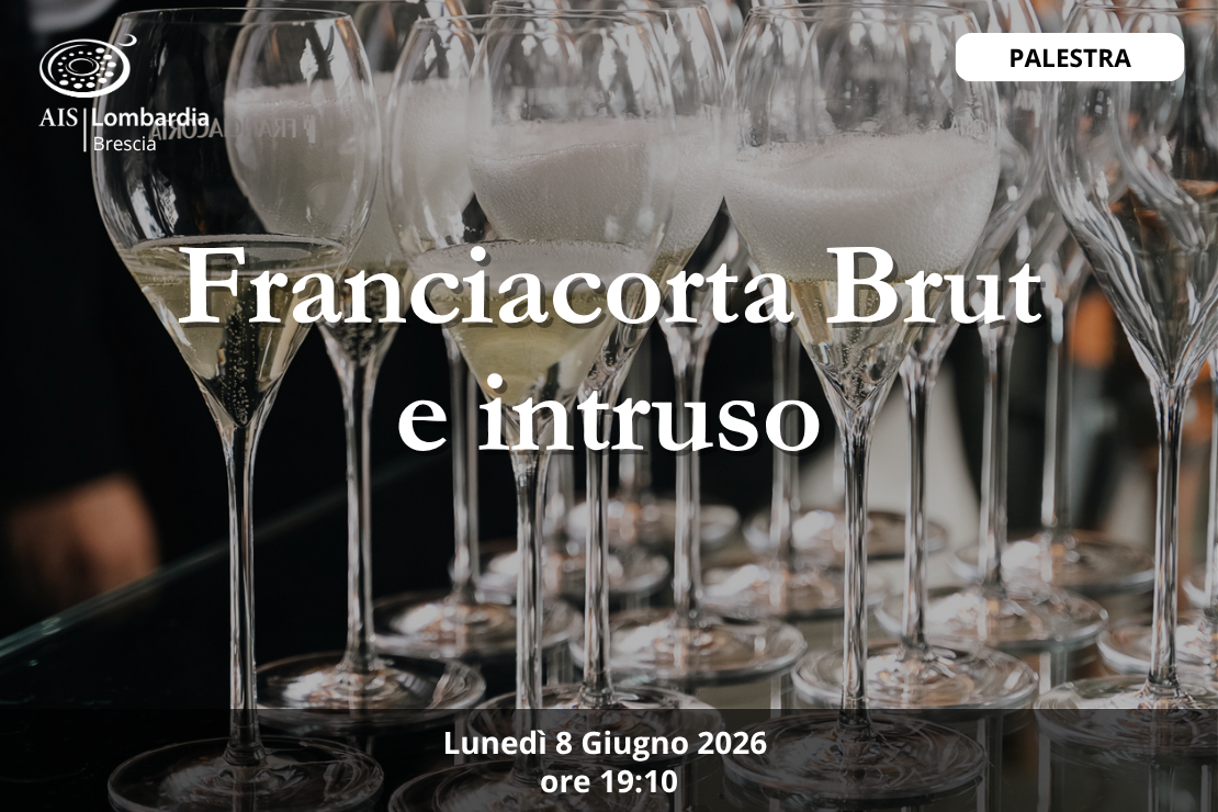 Palestra - Franciacorta brut e l'intruso