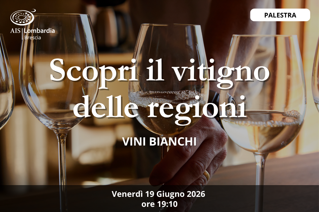 Palestra - Scopri il vitigno delle regioni, vini bianchi