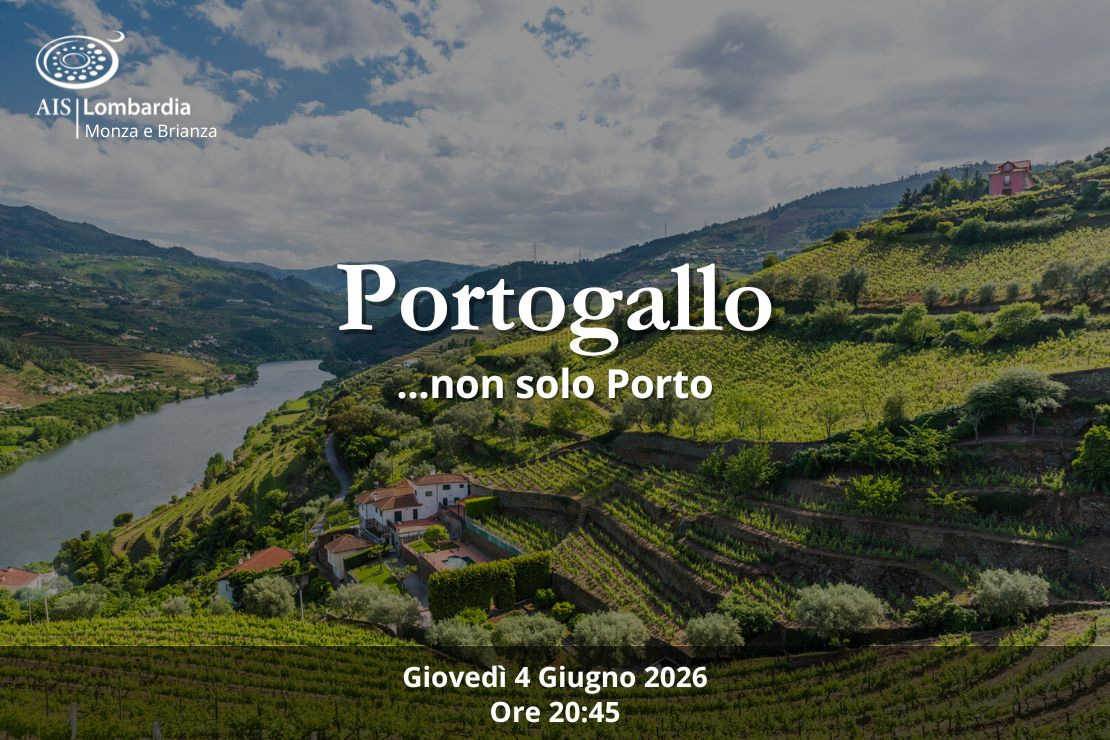 Portogallo... non solo Porto