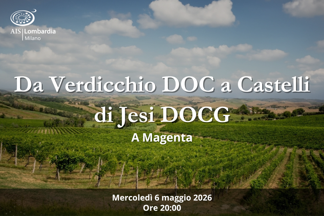 &ldquo;Da Verdicchio DOC a Castelli di Jesi DOCG&rdquo; a Magenta