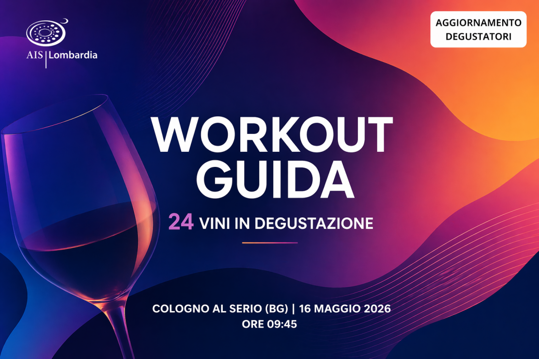 Workout Guida | 24 vini in degustazione