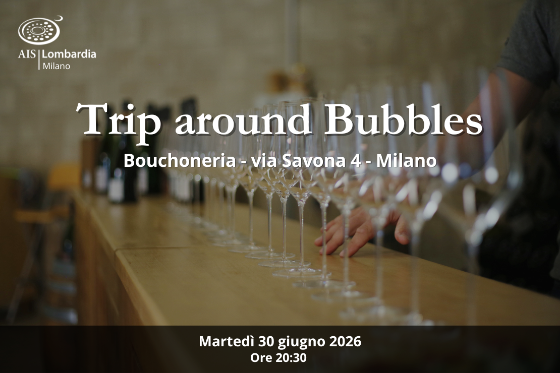Trip around Bubbles