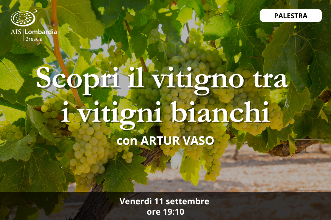 Palestra - Scopri il vitigno tra i vitigni bianchi