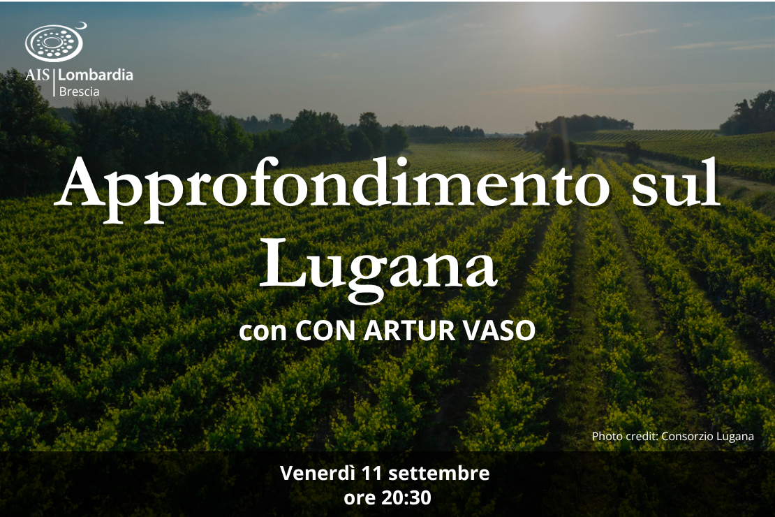 Serata - Approfondimento sul Lugana con Artur Vaso