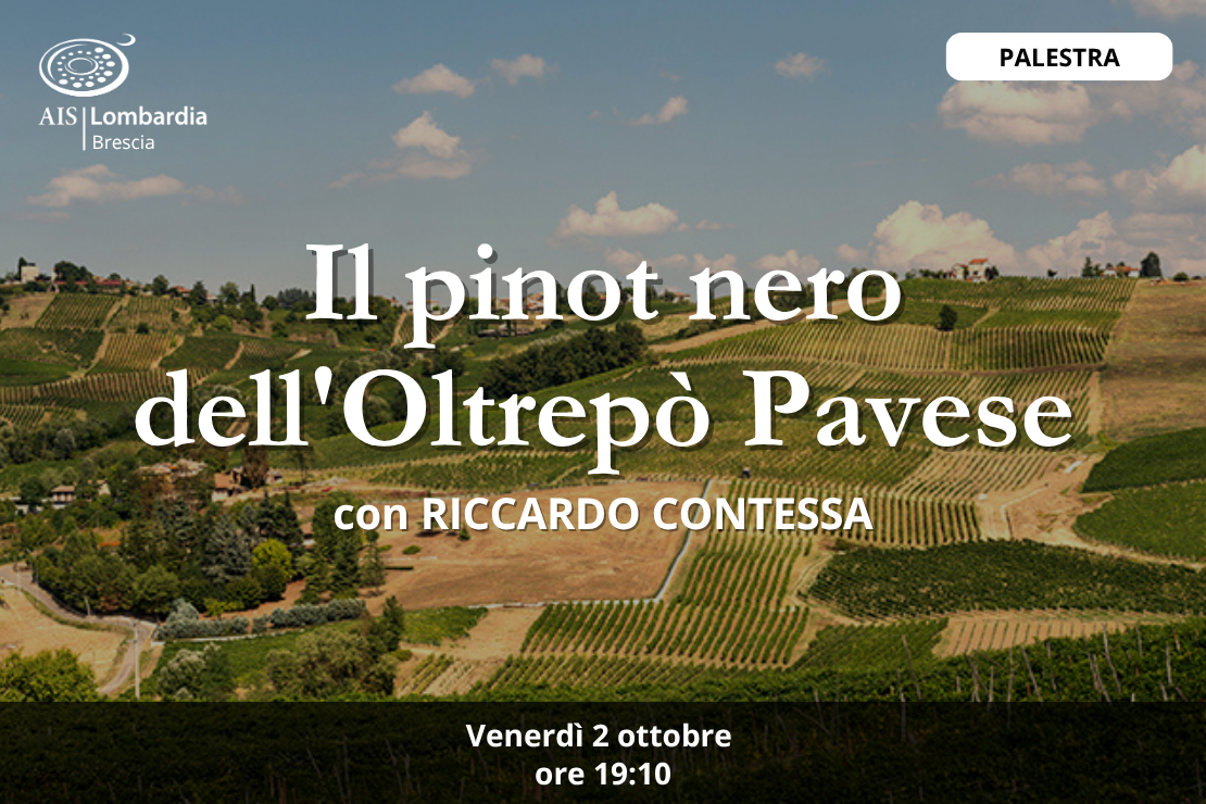 Palestra - Il pinot nero dell'Oltrep&ograve; Pavese