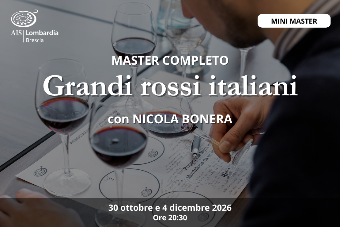 Serata - Mini Master grandi vini rossi italiani - Acquisto Master