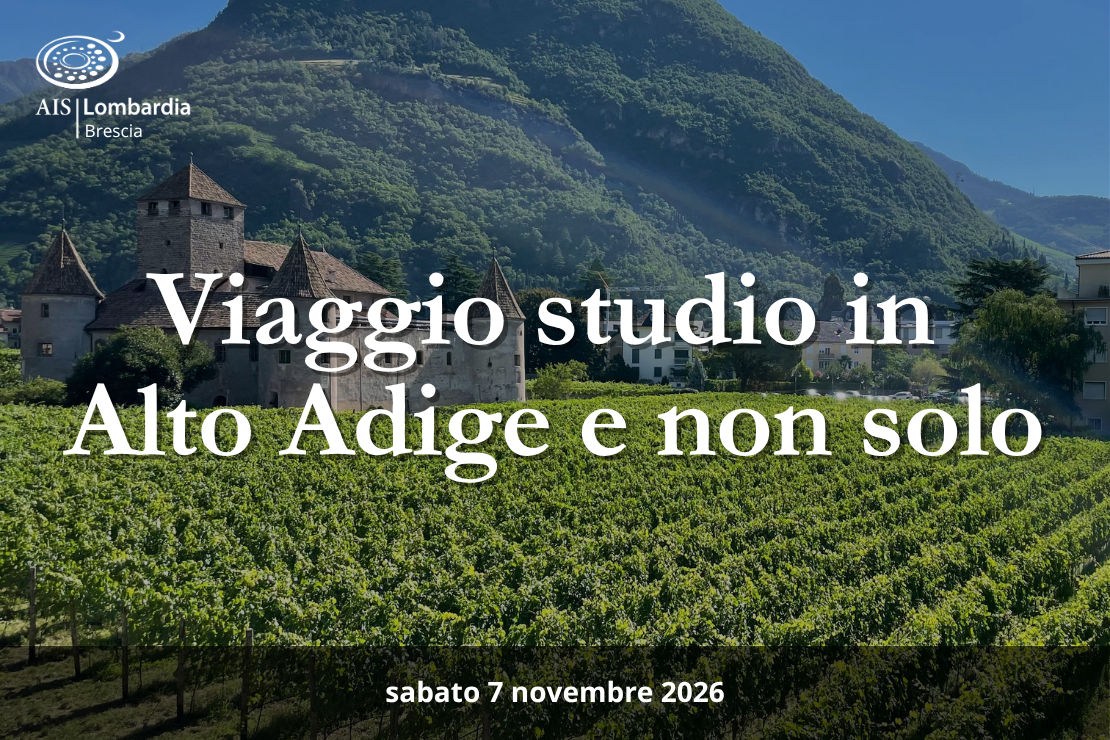 Viaggio studio in Trentino Alto Adige e non solo