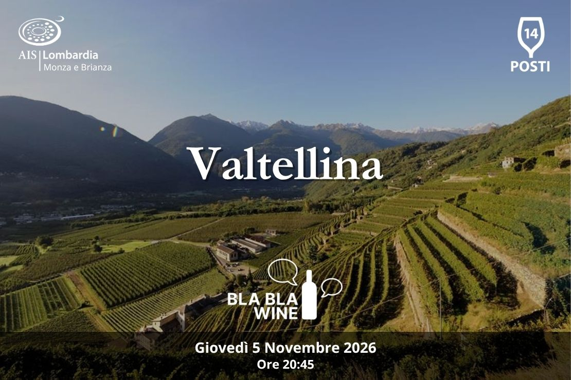Bla Bla Wine. Valtellina