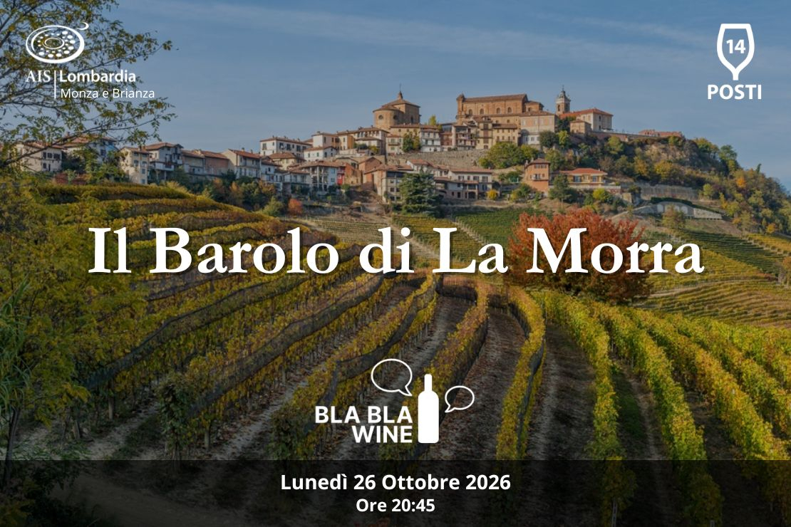 Bla Bla Wine. Il Barolo di La Morra