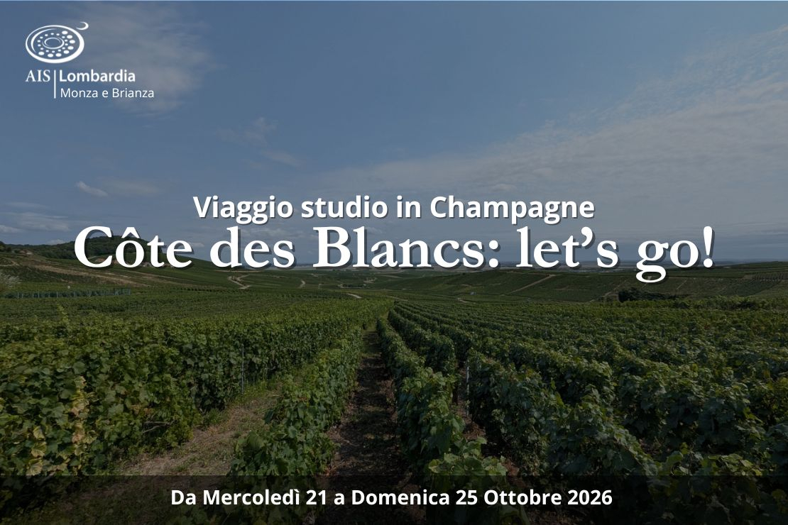 Viaggio Studio in Champagne. C&ocirc;te des Blancs: let's go!