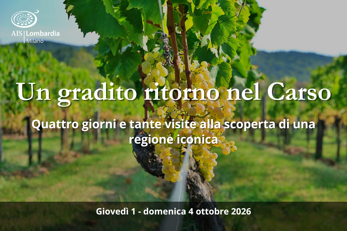 Un gradito ritorno nel Carso: quattro giorni e tante visite alla scoperta di una regione iconica
