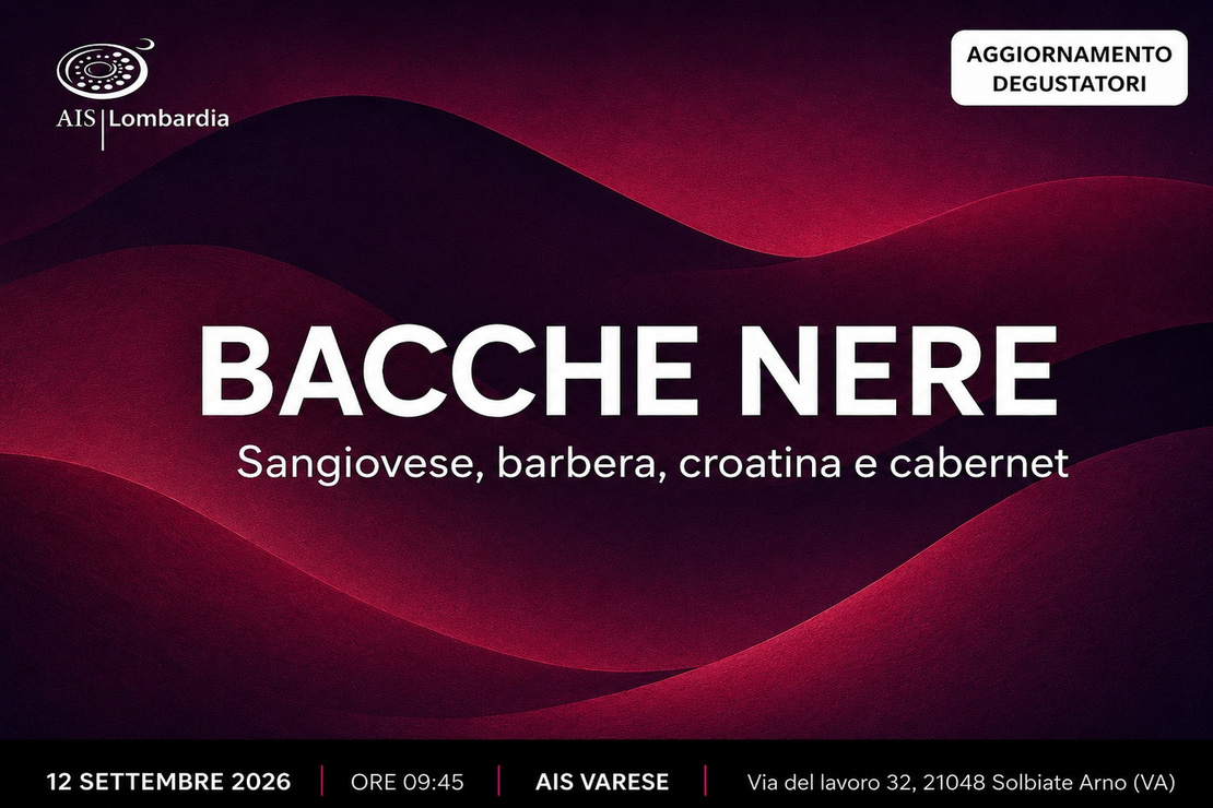 Bacche nere | Sangiovese, barbera, croatina e cabernet