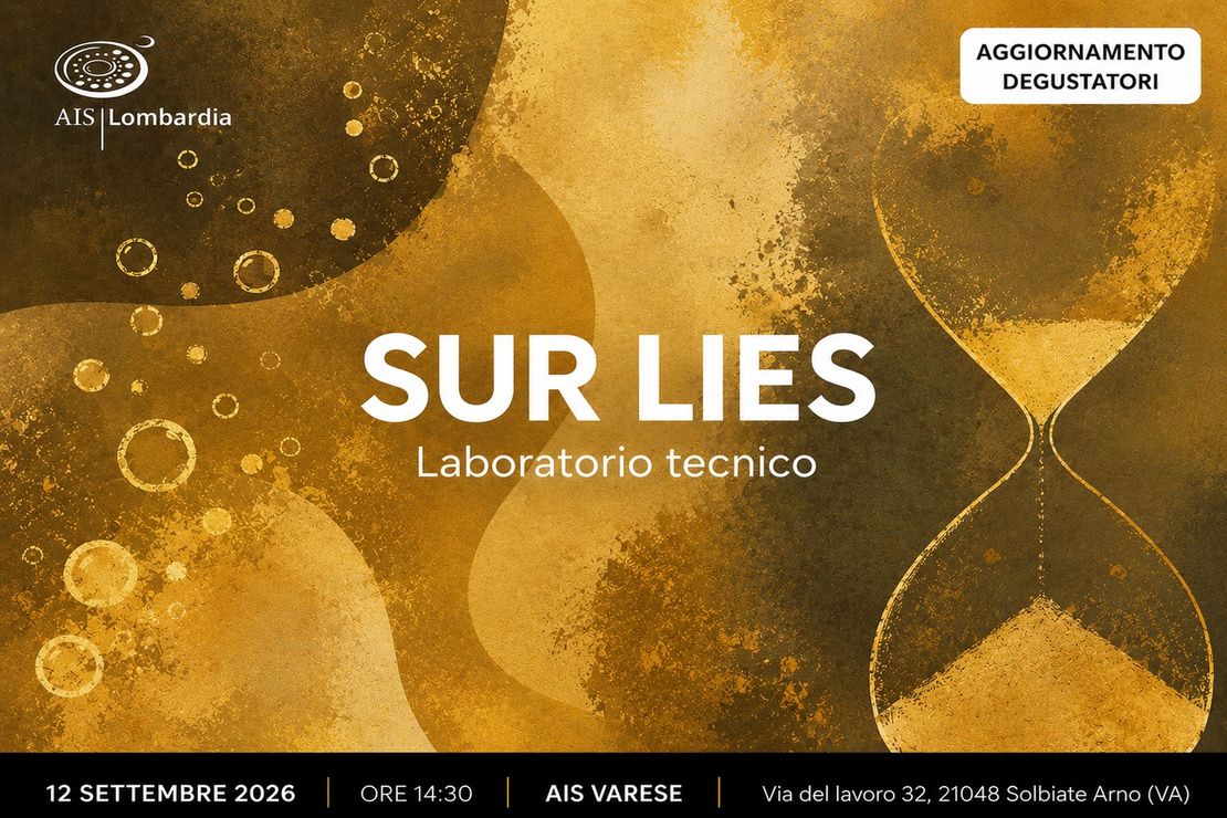 SUR LIES | Laboratorio Tecnico didattico