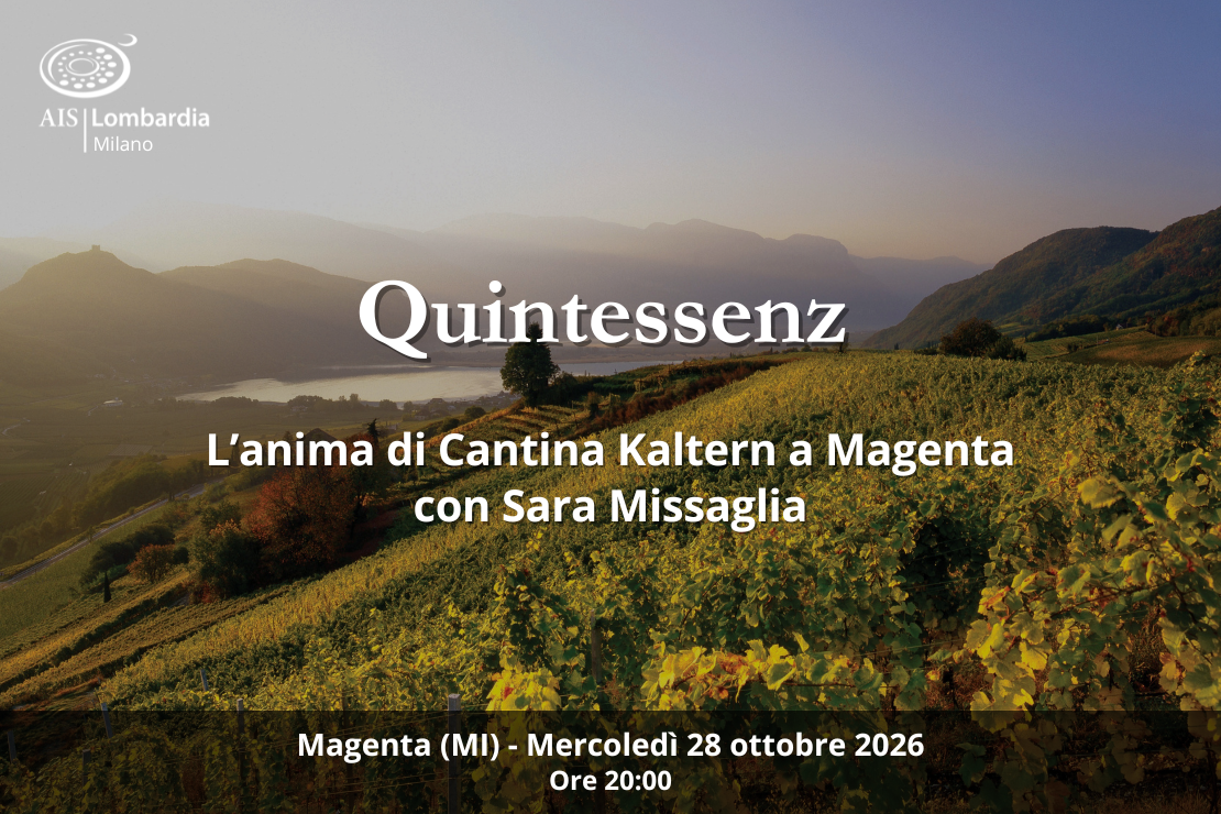 Quintessenz. L&rsquo;anima di Cantina Kaltern a Magenta