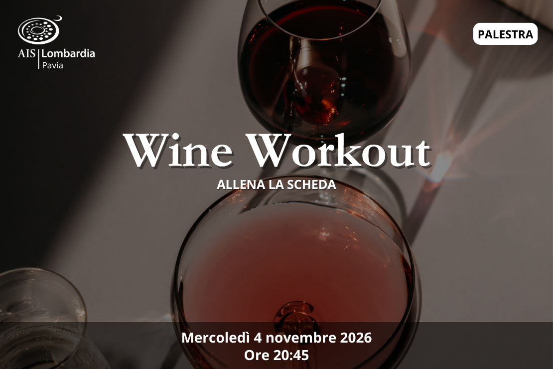 Wine Workout |  Allena la scheda 04/11