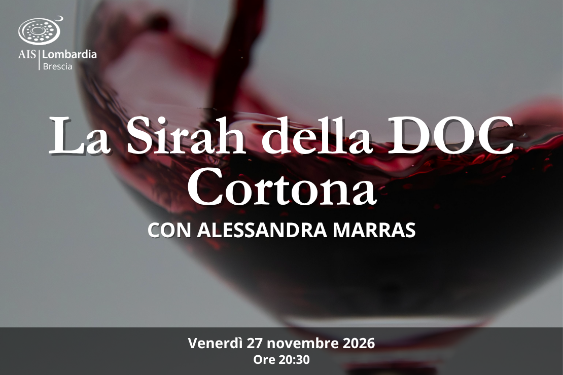 Azienda - Il Sirah nella Doc Cortona, con il Consorzio Cortona Doc