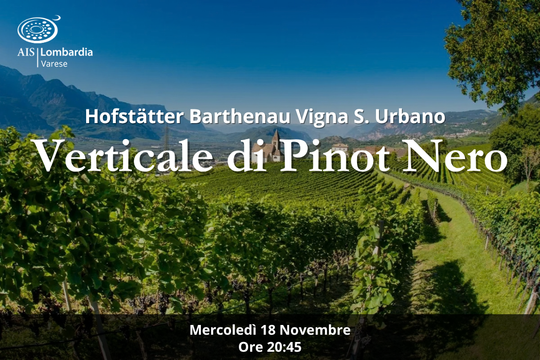 Verticale di Pinot Nero | Hofst&auml;tter Barthenau Vigna S. Urbano