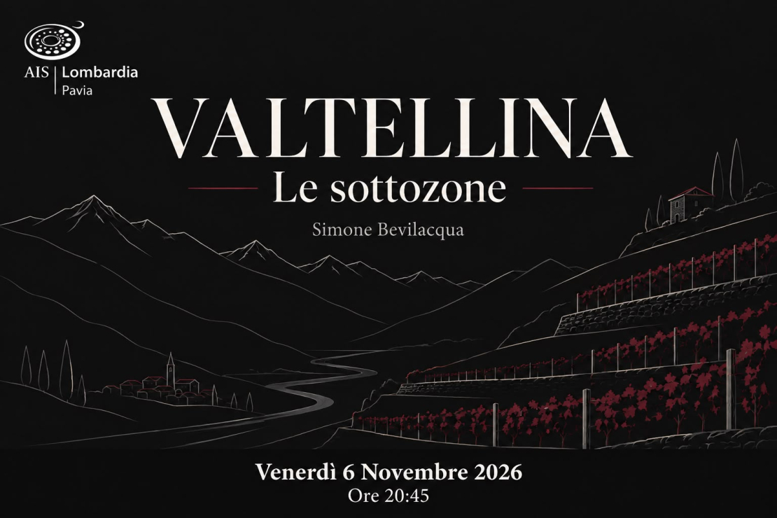 VALTELLINA: LE SOTTOZONE con Simone Bevilacqua