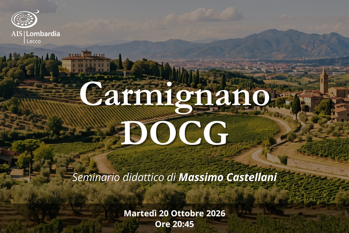 SEMINARIO CARMIGNANO DOCG