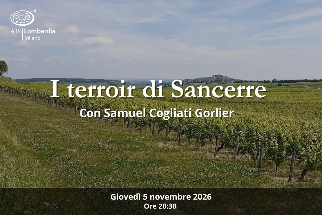 I terroir di Sancerre