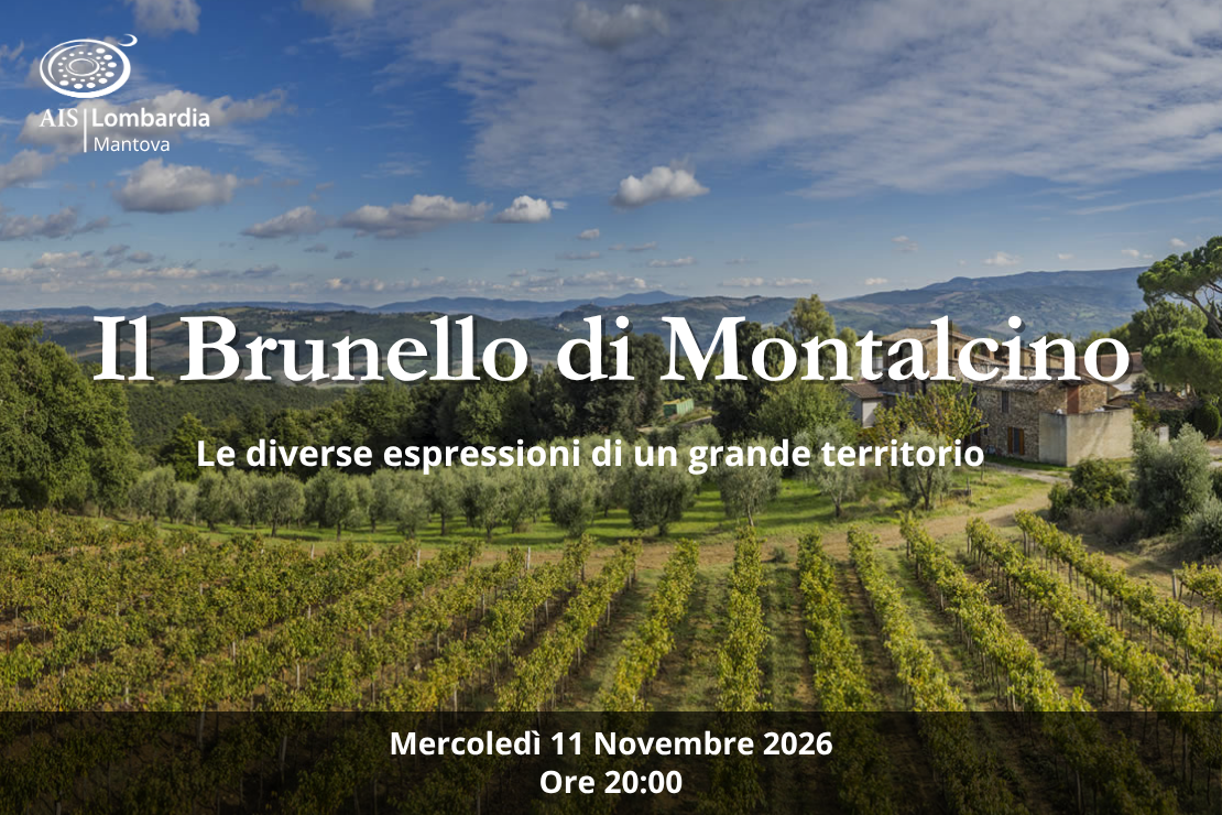 Il Brunello di Montalcino