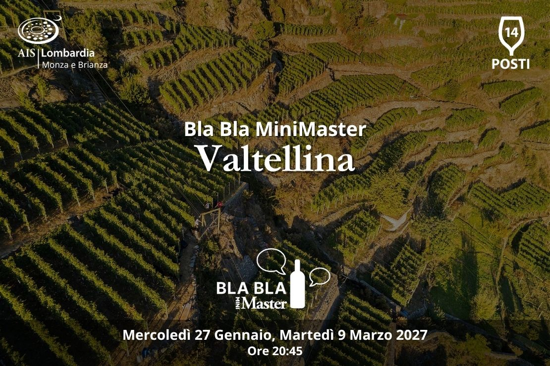 Bla Bla MiniMaster. Valtellina