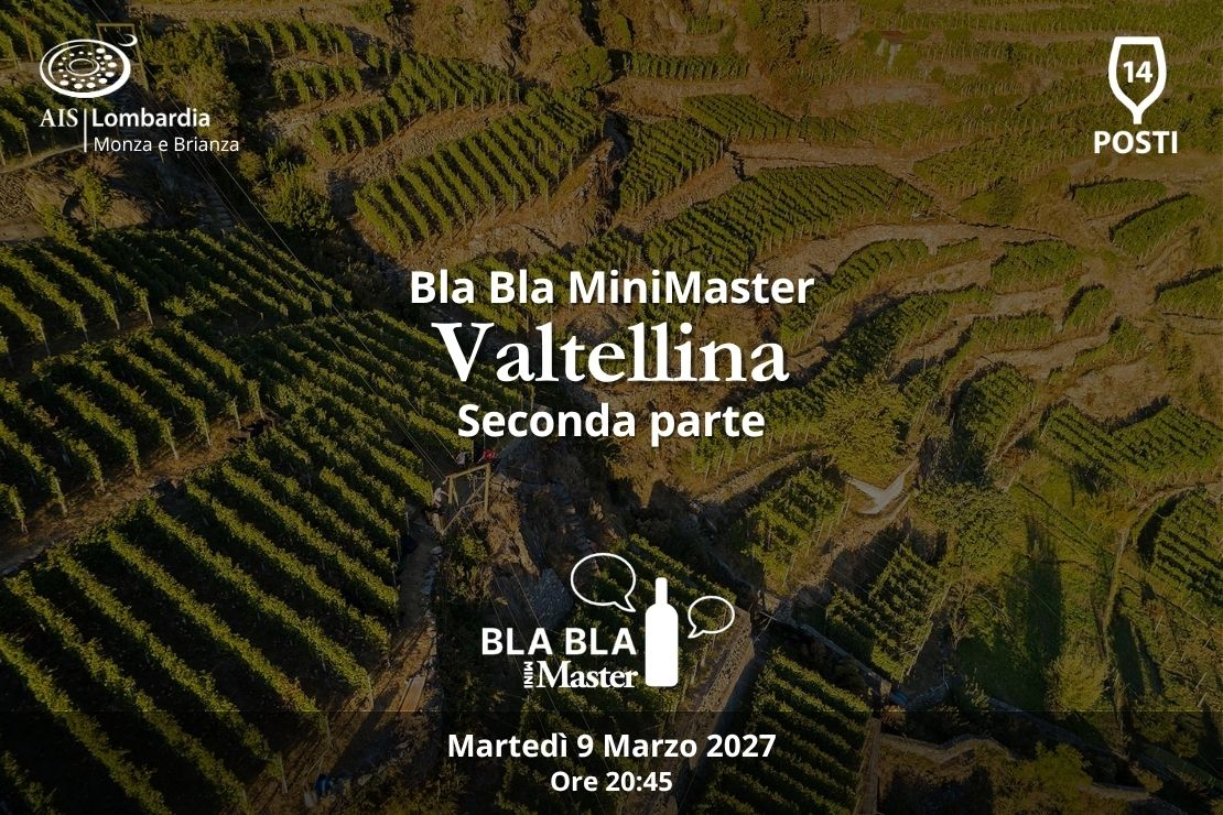 Bla Bla MiniMaster. Valtellina. Seconda parte